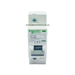 Schneider 100A 1P AC MCB (NC100H)
